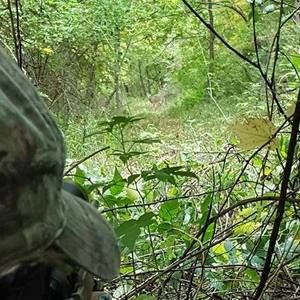 Meet your Posher, Skyler